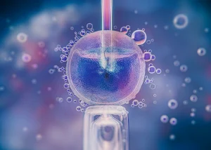 IVF چیست